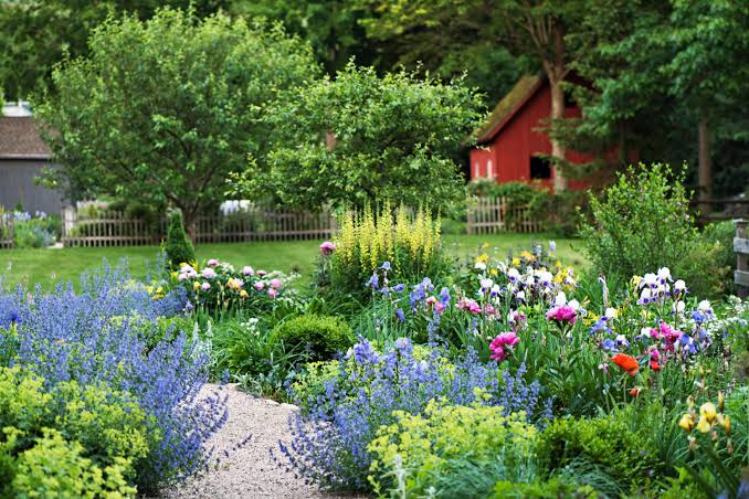 Crowded Flower Beds - Create Space for Healthier Plants